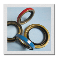 Oil Seals